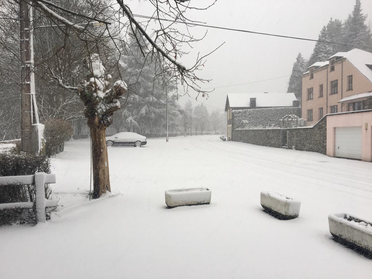 Hotel Des Roches Vresse-sur-Semois Eksteriør bilde